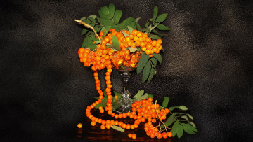 Картинка еда рябина