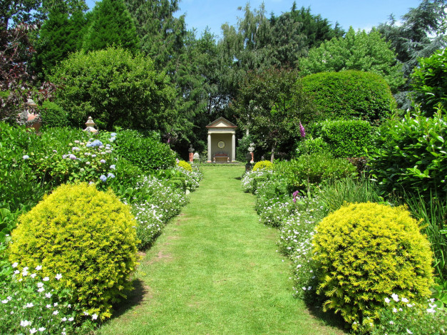 Обои картинки фото природа, парк, кусты