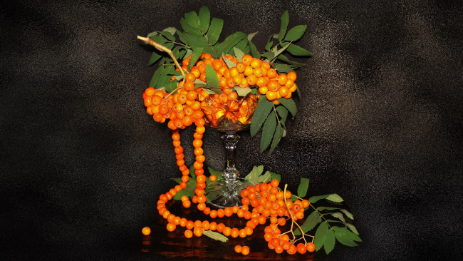 Обои картинки фото еда, рябина