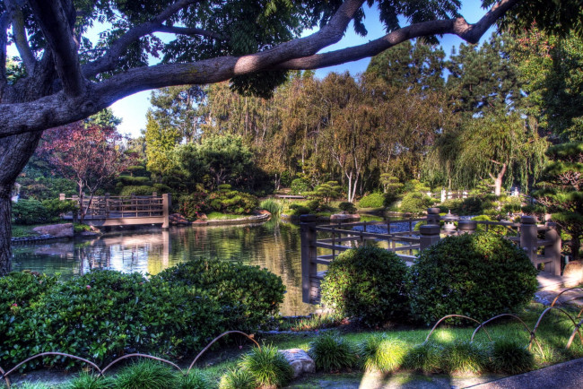 Обои картинки фото природа, парк, пруд, деревья