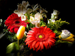 Картинка цветы букеты +композиции тюльпан герберы альстромерия