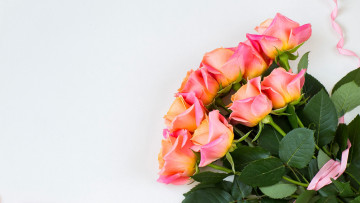 Картинка цветы розы бутоны