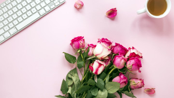 Картинка цветы розы бутоны лепестки