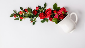 Картинка цветы розы красный