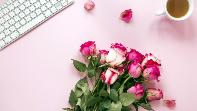 Обои картинки фото цветы, розы, бутоны, лепестки