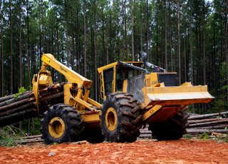 Картинка техника лесоповалочная+техника tigercat