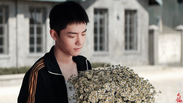 Картинка кино+фильмы ace+troops гу ие лицо букет ромашки