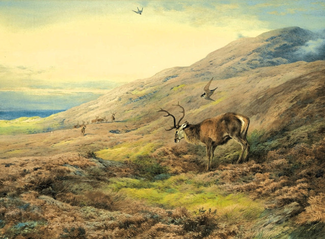 Обои картинки фото рисованное, archibald thorburn, олени, сокол, горы