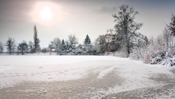 обоя природа, зима, снег, лед, деревья