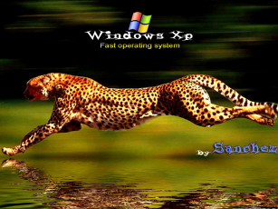 Картинка компьютеры windows xp