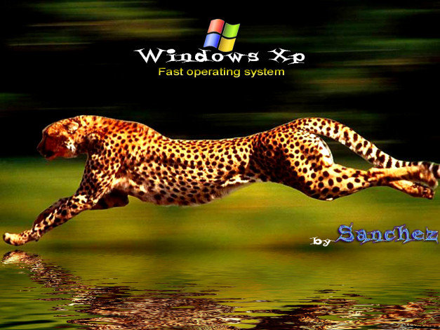 Обои картинки фото компьютеры, windows, xp