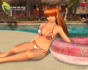 Картинка видео игры dead or alive xtreme