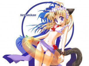 Картинка аниме animals