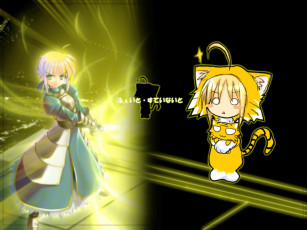 Картинка аниме fate stay night