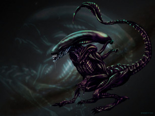 Картинка фэнтези существа