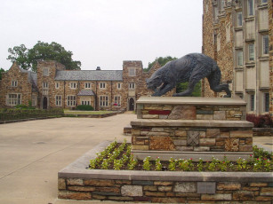 Картинка города