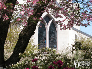 Картинка города здания дома