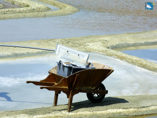 Картинка разное