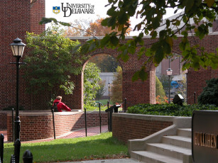 Картинка разное