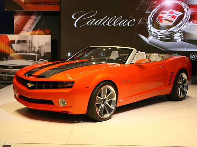 Обои картинки фото автомобили, выставки, уличные, фото