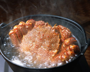 Картинка еда рыба морепродукты суши роллы