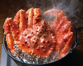 Картинка еда рыба морепродукты суши роллы