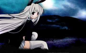 Картинка аниме touhou