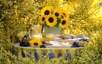 Картинка цветы подсолнухи