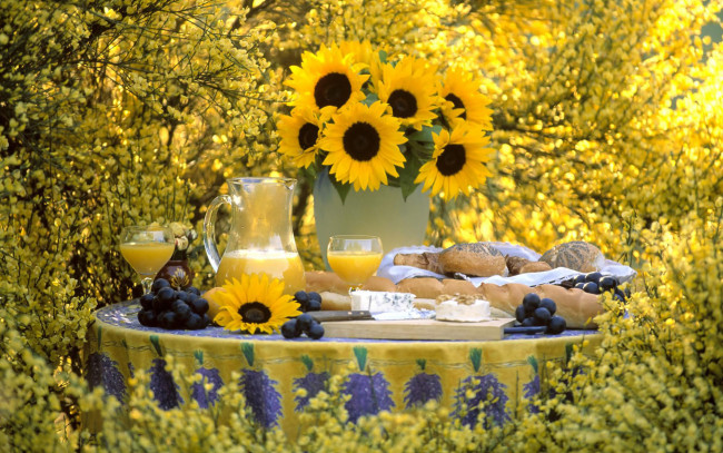 Обои картинки фото цветы, подсолнухи