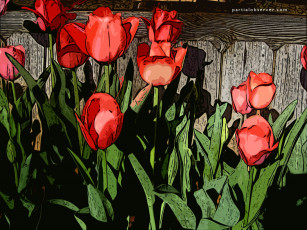 Картинка векторная графика