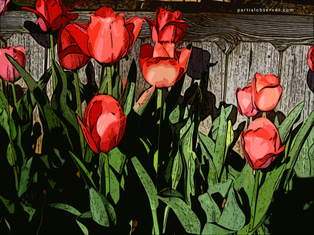 Обои картинки фото векторная, графика