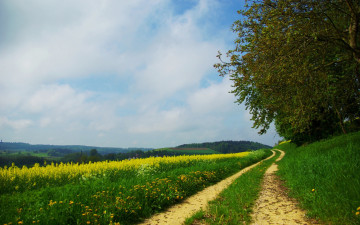 Картинка природа дороги дорога поле