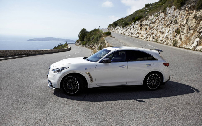 Обои картинки фото автомобили, infiniti, vettel, edition, fx