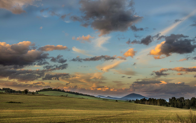 Обои картинки фото природа, поля, облака, небо, поле