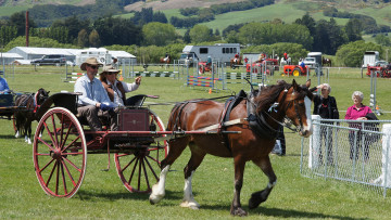 Картинка horse+power разное транспортные+средства+и+магистрали экипаж пассажиры лошадь повозка
