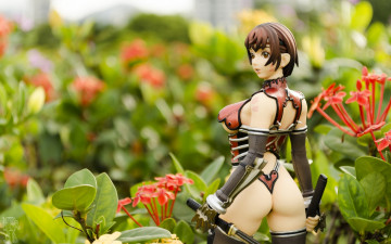 Картинка разное игрушки кукла игрушка цветы воительница