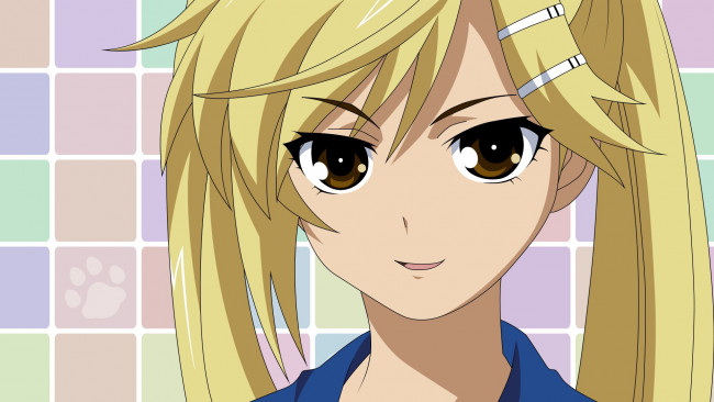 Обои картинки фото nyankoi, аниме, девушка, взгляд