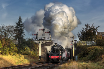 Картинка техника паровозы паровоз дорога железная