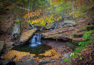 Картинка природа водопады водопад река лес
