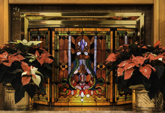 Картинка цветы комнатные лиственные