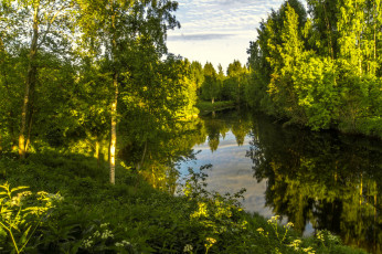 Картинка природа реки озера лес река