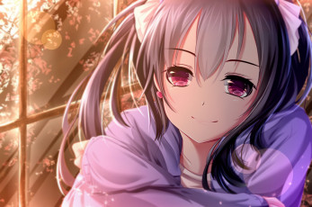 Картинка автор +doc lnn аниме love+live +school+idol+project yazawa nico love live school idol project