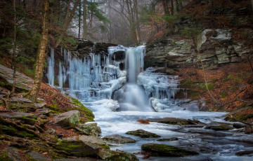 Картинка природа водопады водопад река лес