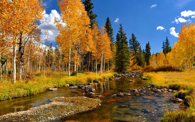 Обои картинки фото природа, реки, озера, лес, река, осень