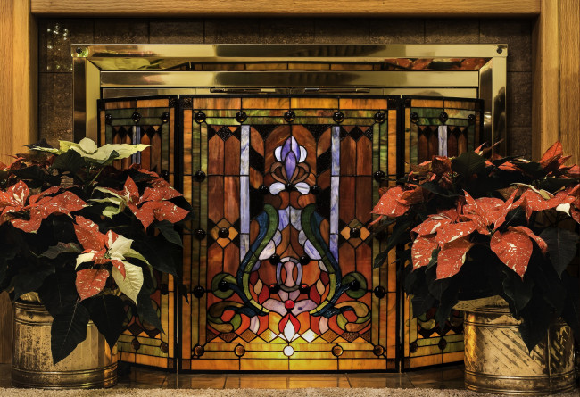 Обои картинки фото цветы, комнатные, лиственные