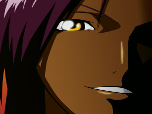 Картинка аниме bleach улыбка gotei13 взгляд shinigami yoruichi shihoin