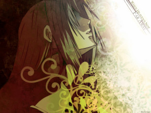 Картинка аниме final+fantasy воин sephiroth