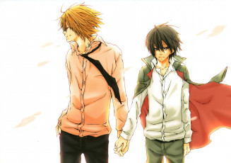 Картинка аниме katekyo+hitman+reborn плащ парни рубашки галстук