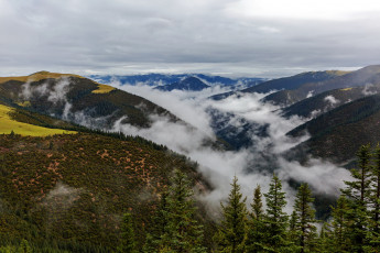 Картинка природа горы туман