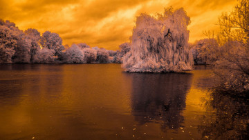 Картинка природа реки озера осень